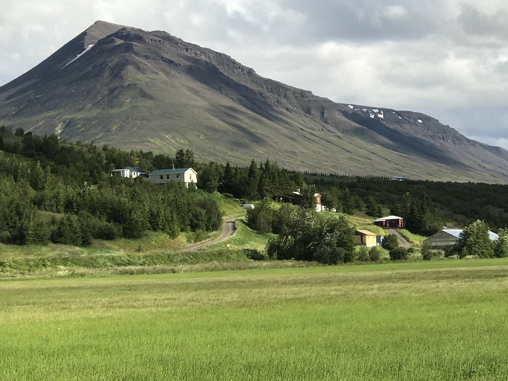 Brunalaug Guesthouse - Holiday Home Eyjafjaroarsveit エクステリア 写真